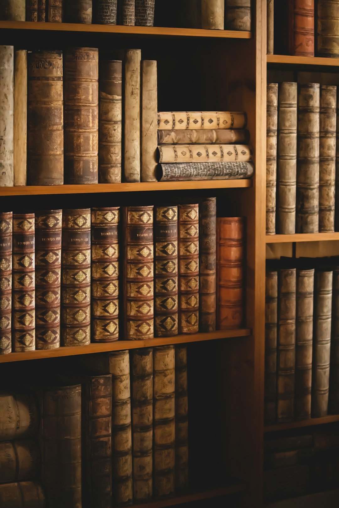 brown-wooden-shelf-with-books-tdorqdr11oc
